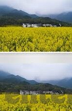 有卫视台直播世界杯吗-2022世界杯盛宴，卫视台直播的全方位体验